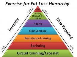 Fat Loss Hierarchy